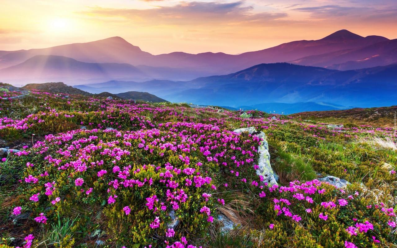 Uttarakhand
